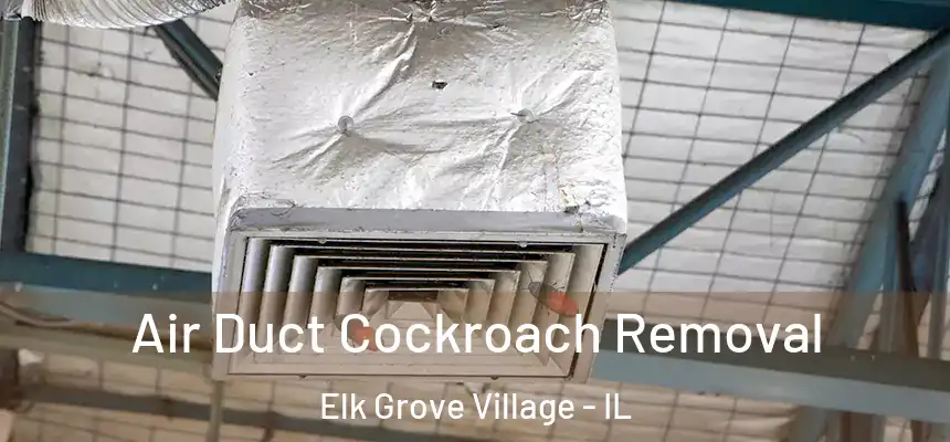 Air Duct Cockroach Removal Elk Grove Village - IL