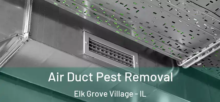 Air Duct Pest Removal Elk Grove Village - IL