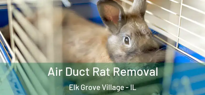 Air Duct Rat Removal Elk Grove Village - IL