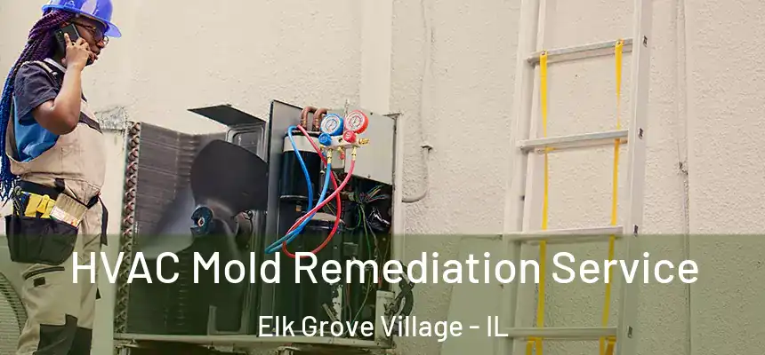  HVAC Mold Remediation Service Elk Grove Village - IL