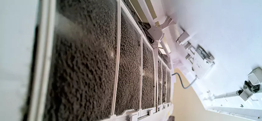 Preventive Air Duct Bacteria Removal in Elk Grove Village