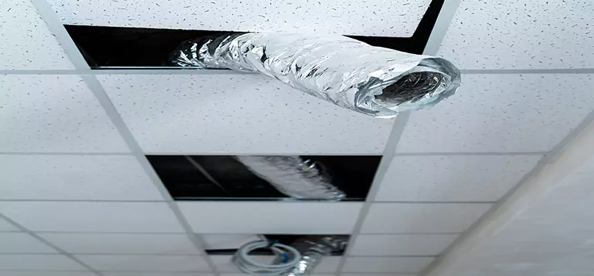 Affordable HVAC Sanitizing After Pest Removal in Elk Grove Village