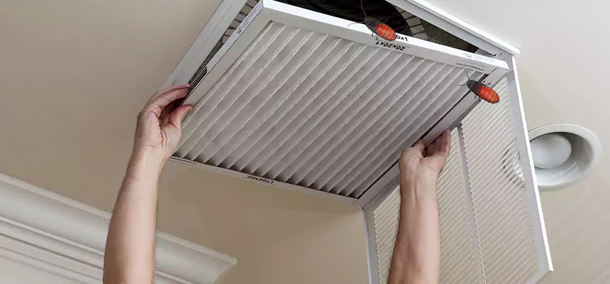 Our Insect Removal from Air Ducts Services in Elk Grove Village, IL