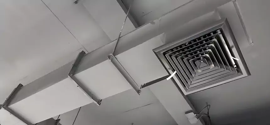 Our Rodent Droppings In Vents Services in Elk Grove Village, IL