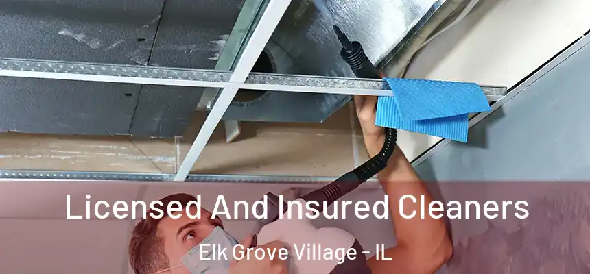 Licensed And Insured Cleaners Elk Grove Village - IL