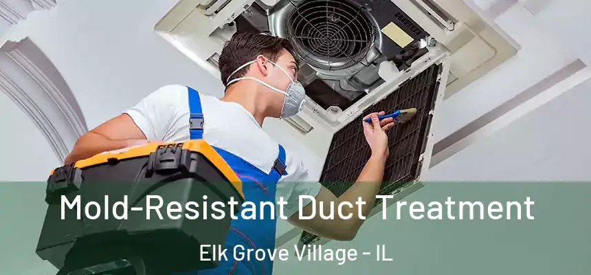  Mold-Resistant Duct Treatment Elk Grove Village - IL