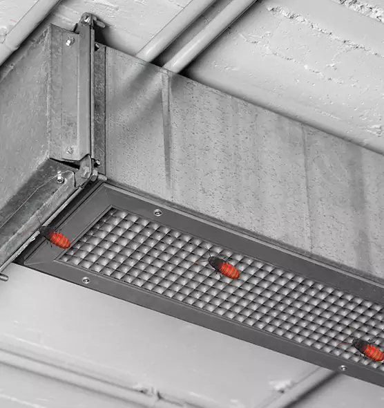 About Air Duct Cockroach Removal in Elk Grove Village, IL