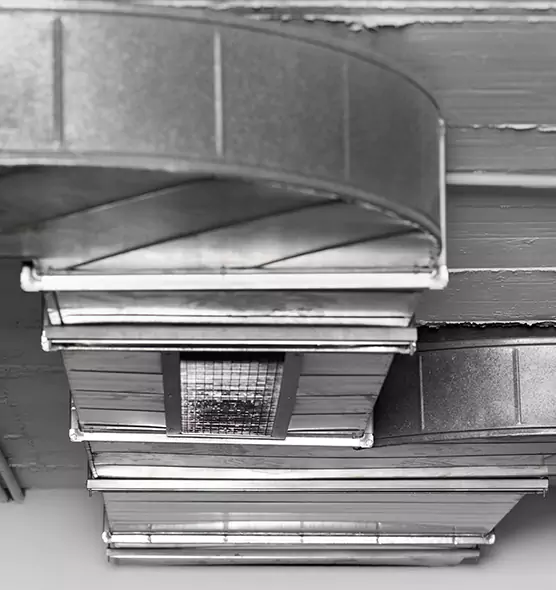 Professional Air Duct Pet Hair Removal in Elk Grove Village, IL