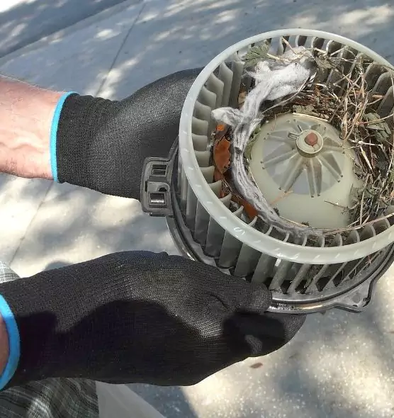 About Air Duct Rat Removal in Elk Grove Village, IL