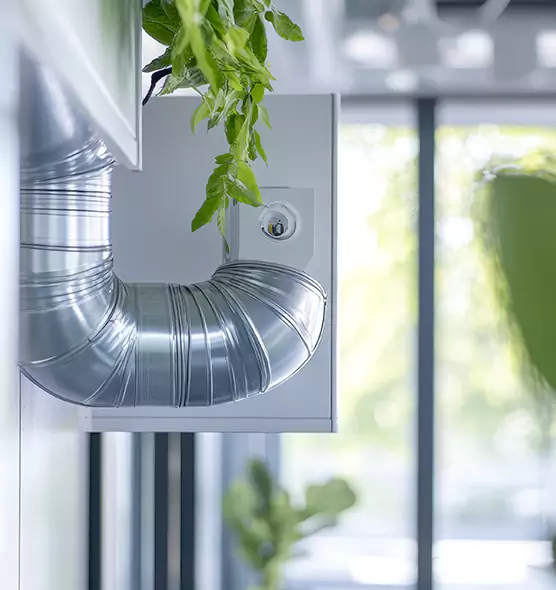 Professional Eco-Safe Dryer Vent Cleaning in Elk Grove Village, IL