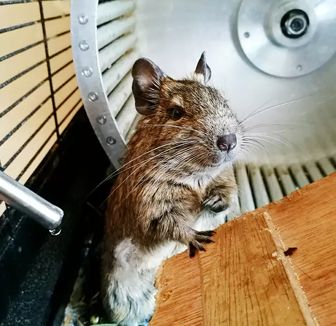 Why Homeowners & Businesses Trust Us Elk Grove Village, IL?