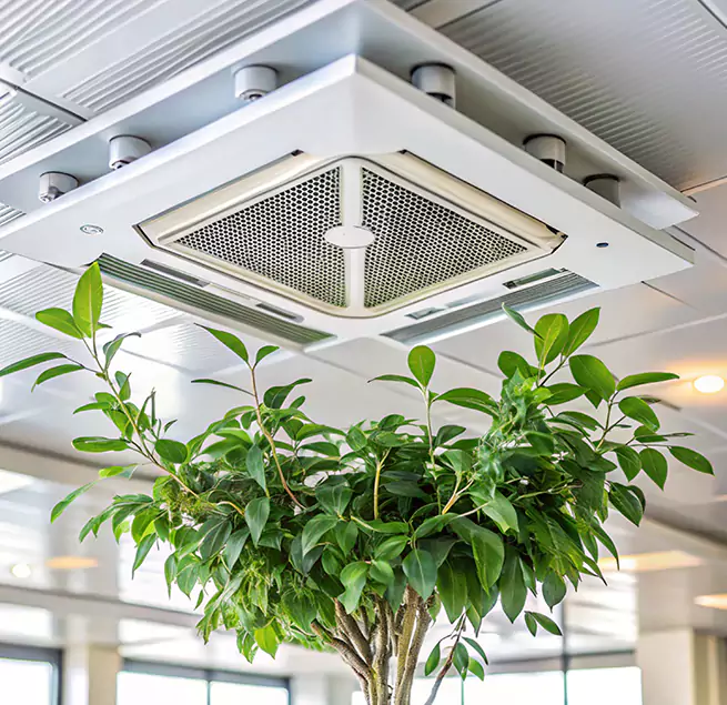 Why Homeowners & Businesses Trust Us in Elk Grove Village, IL?